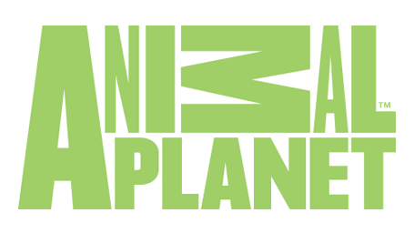 Animal Planet