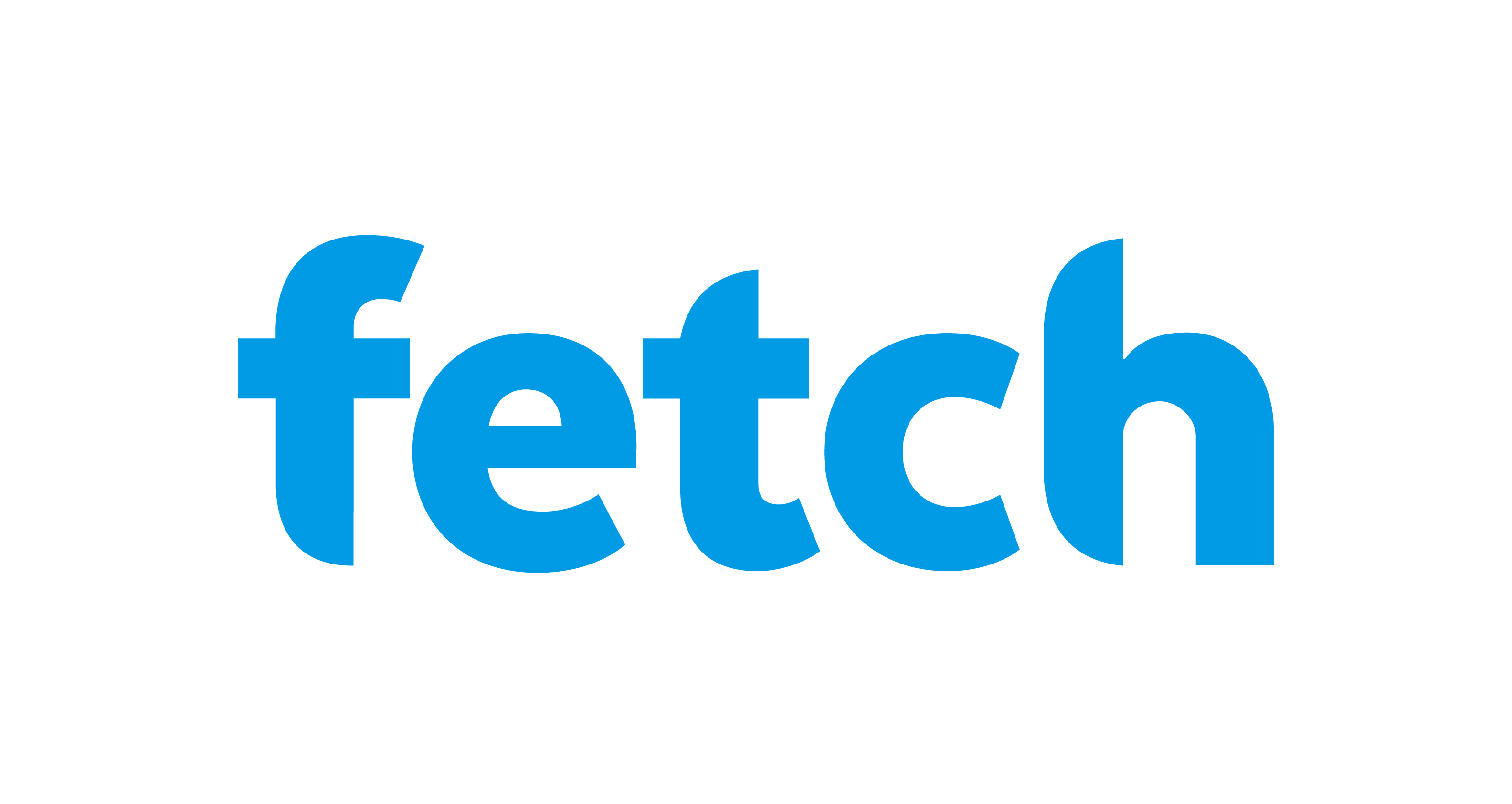 Fetch logo