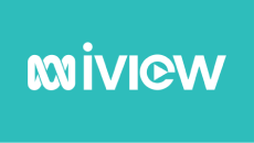 iView