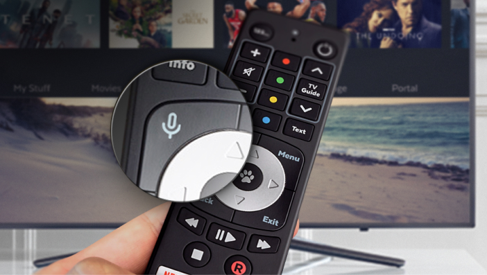 Voice control