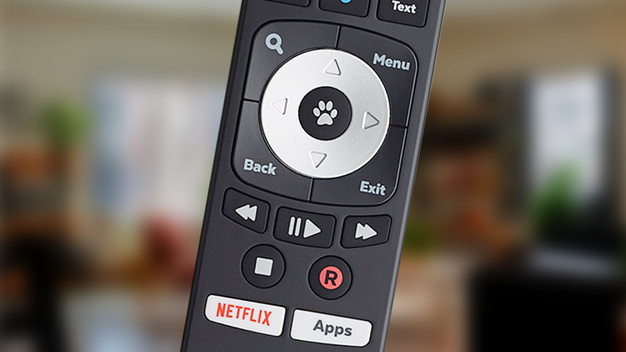 Pause, rewind and record