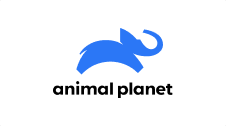 Animal Planet
