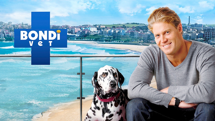 Bondi Vet