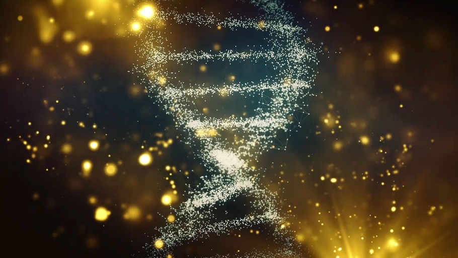 Atom Bond