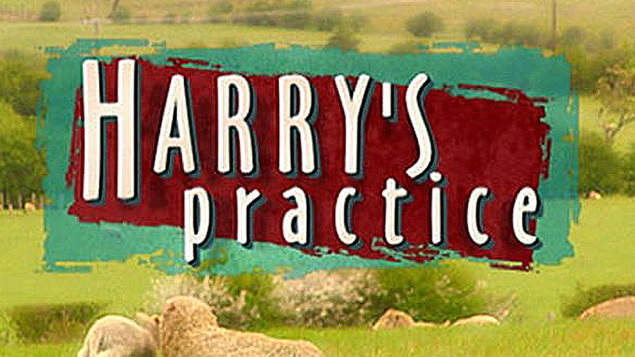 Harry's Practice