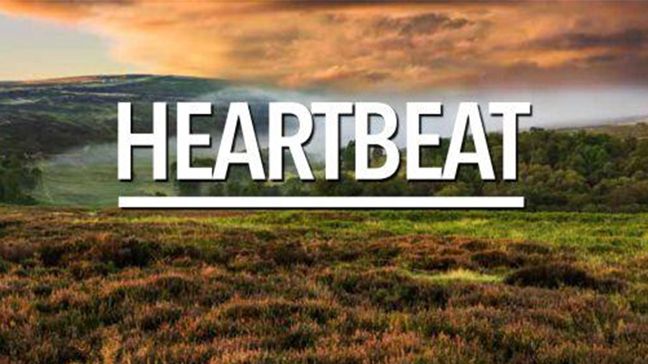 Heartbeat