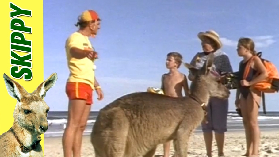 Skippy