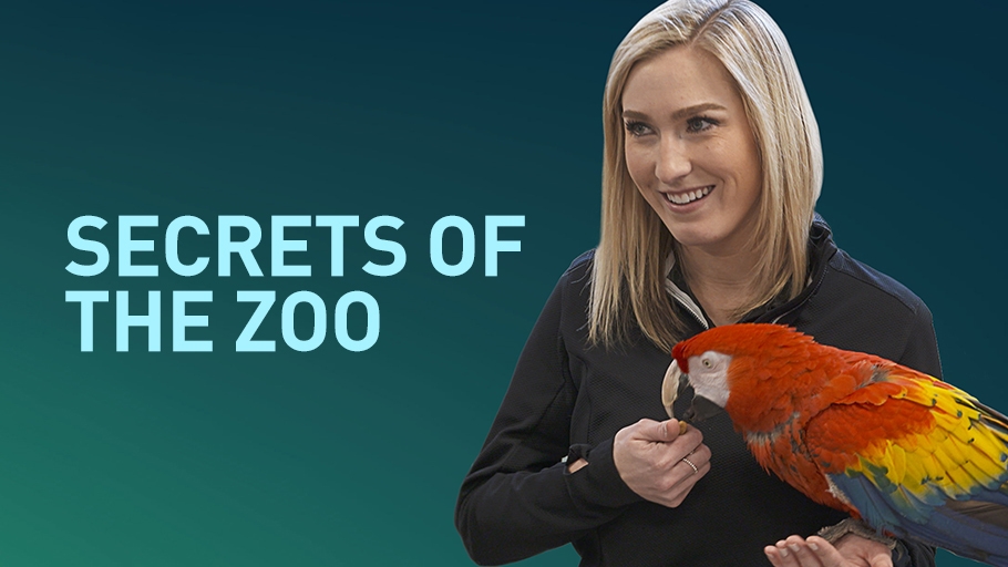 Secrets of The Zoo